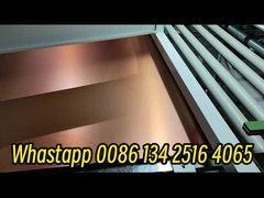 Ab Klebe-Potting-Maschine für Honighals-Panel Kundenanforderungen erfüllen