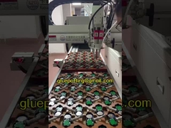 AB-Komponente 2K Dos Silikon-Epoxy-Pu-Ab-Kleim-Pottmaschine für die Kondensatorproduktion